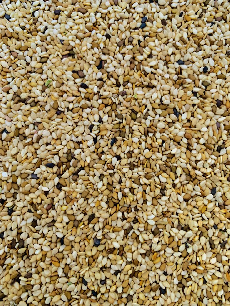 Global Market Trends & Demand Forecast for Iranian Sesame Seeds (2025–2026)